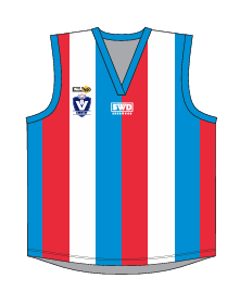 MASCOT JUMPER